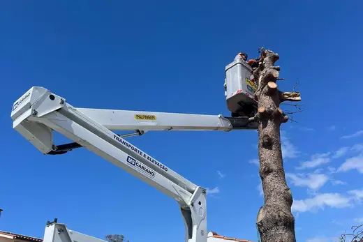 Abate por secções, do topo para a base, com o cesto a acompanhar o corte.