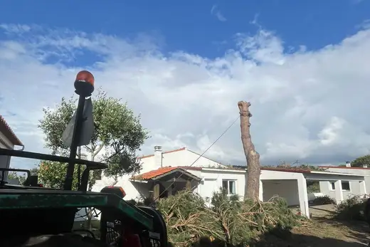 Tronco no solo e sobrantes reunidos para carregamento. Sem qualquer dano na habitação.