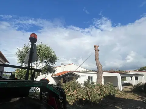Trator e terreno já limpo junto a uma habitação, com os sobrantes reunidos