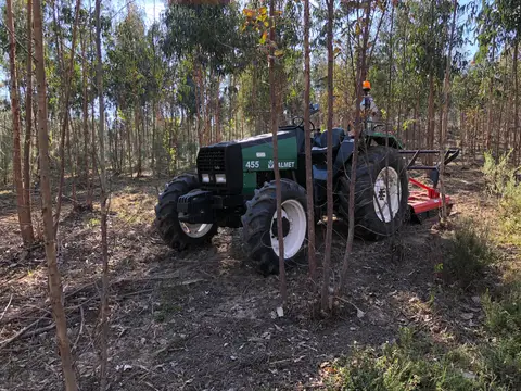 Trator com destroçador acoplado em terreno florestal já intervencionado